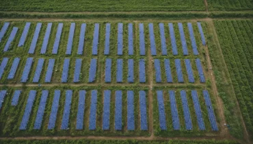 Zarządzanie chwastami i inwazyjnymi gatunkami na farmach PV